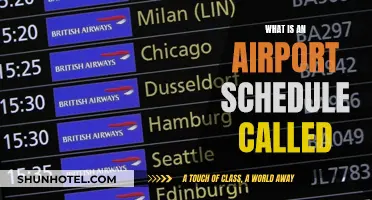 Airport Schedule: What's the Name of This Timetable?