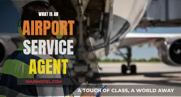 The Role of an Airport Service Agent