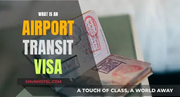 Airport Transit Visa: What, When and Why?