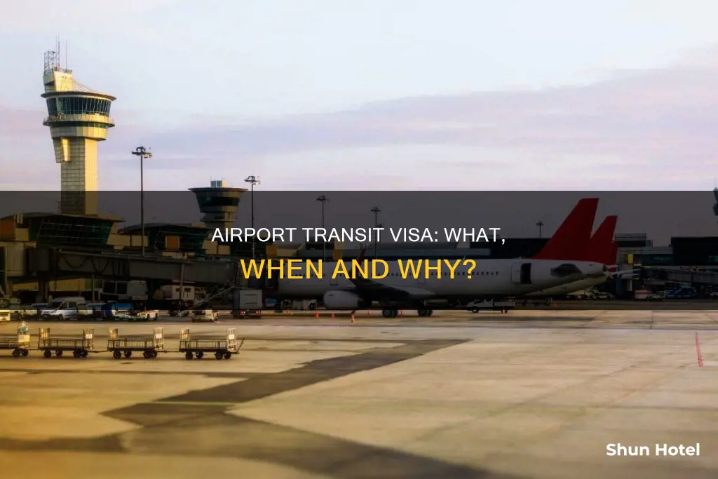 what is an airport transit visa