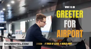 Airport Greeters: Enhancing the Travel Experience