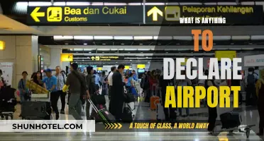 Airport Customs: Anything to Declare?