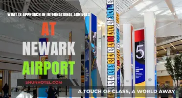 Navigating International Arrivals at Newark Airport: A Comprehensive Approach Guide