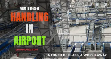 Streamlined Baggage Handling: Airport Operations and Logistics