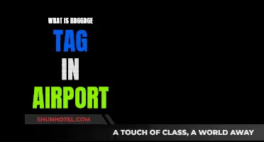Airports' Baggage Tag System: How It Works