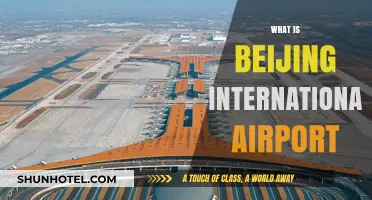 Exploring Beijing International Airport: A Comprehensive Guide to China's Hub