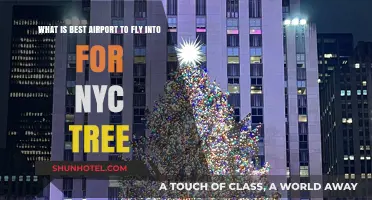 Best NYC Airport for Easy Access to the Iconic Rockefeller Tree
