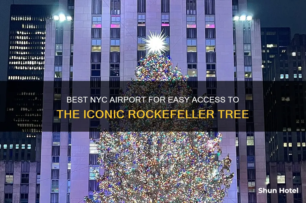 what is best airport to fly into for nyc tree