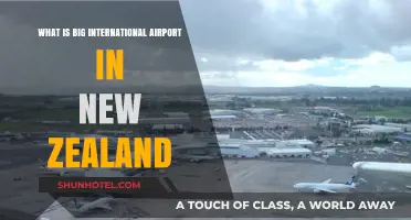 Exploring New Zealand's Largest International Airport: A Comprehensive Guide