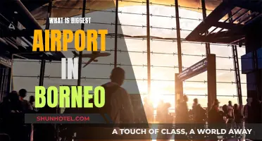 Borneo's Airport Giant: Size and Significance