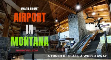 Montana's Largest Airport: A Traveler's Guide