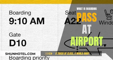 Your Boarding Pass: Airport Travel Essential
