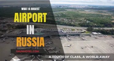 Russia's Busiest Airport: Where Is It?