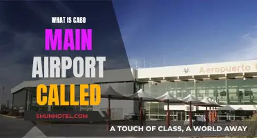 Los Cabos Airport: Everything You Need to Know