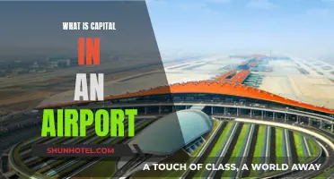 Airports' Capital: What Does It Mean?