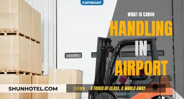 Airport Cargo Handling: Efficient Logistics Operations