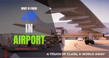 The Airport's Cargo Job: An Overview