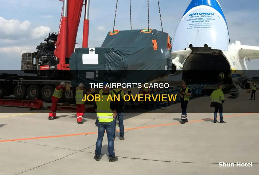 what is cargo job in airport