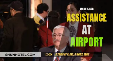 Airport CCA Assistance: Helping Hands for Passengers