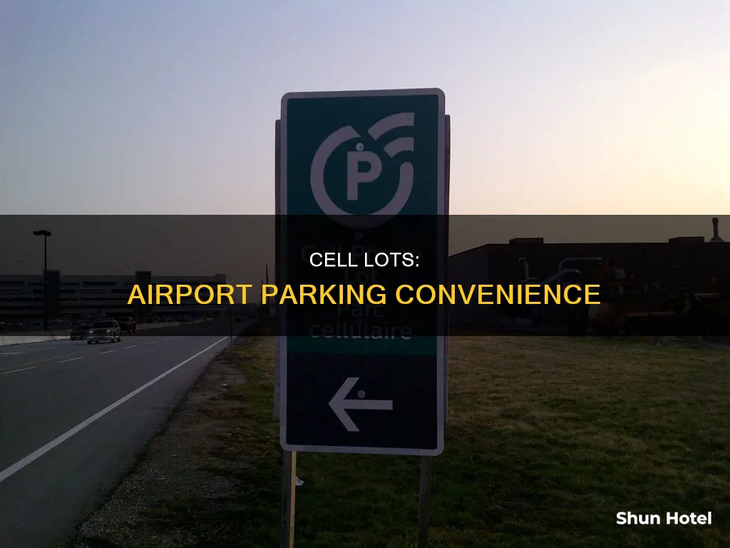 what is cell lot at airport