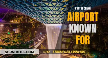 Changi Airport: A Destination in Itself