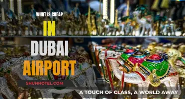 Dubai Airport: Affordable Shopping and More