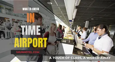 Airport Check-In: When to Arrive