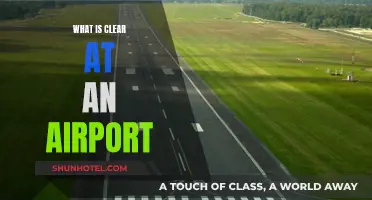 Airports: What's Needed to Get Through Security