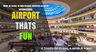 Exciting Attractions Near Hartsfield-Jackson Atlanta International Airport to Explore