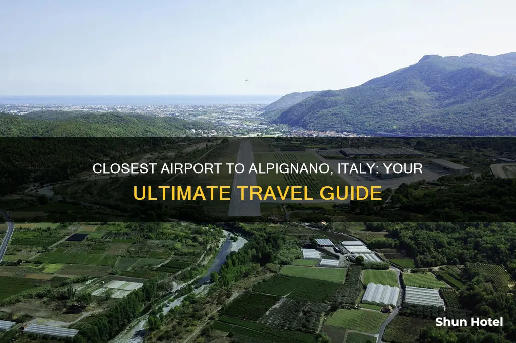 what is closest airport to alpignano italy