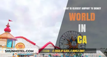 Closest California Airport to Disney World: Your Ultimate Travel Guide