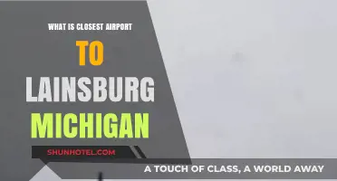 Closest Airport to Laingsburg, Michigan: Your Travel Guide