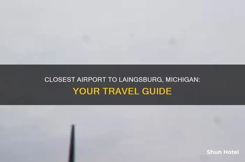 what is closest airport to lainsburg michigan