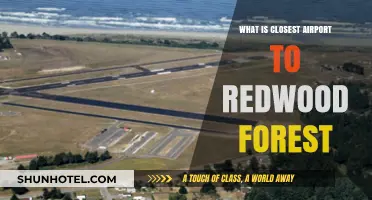 Discovering the Nearest Airport to Redwood Forest: A Travel Guide