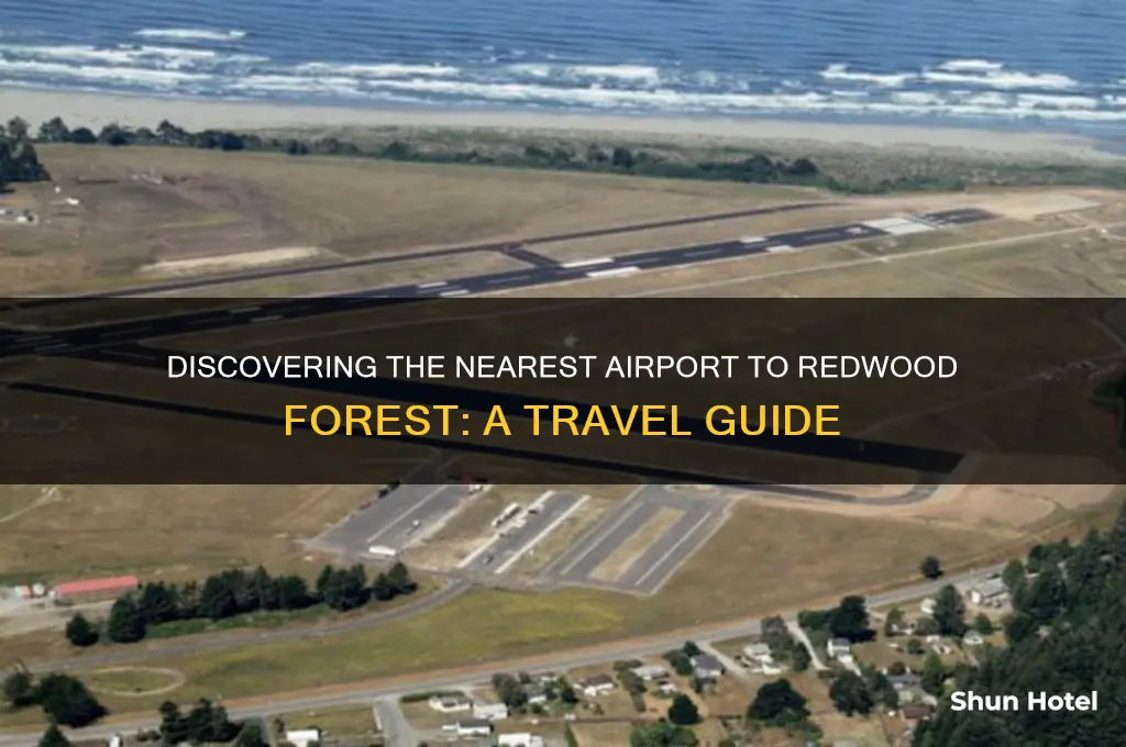 what is closest airport to redwood forest