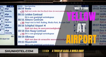 Code Yellow: Airport Security Alert and Response