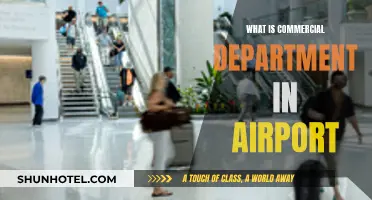The Commercial Department: Airport Revenue and Growth