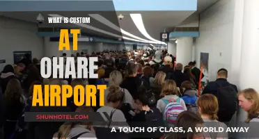Customs at O'Hare: A Guide to Chicago's Airport Procedures