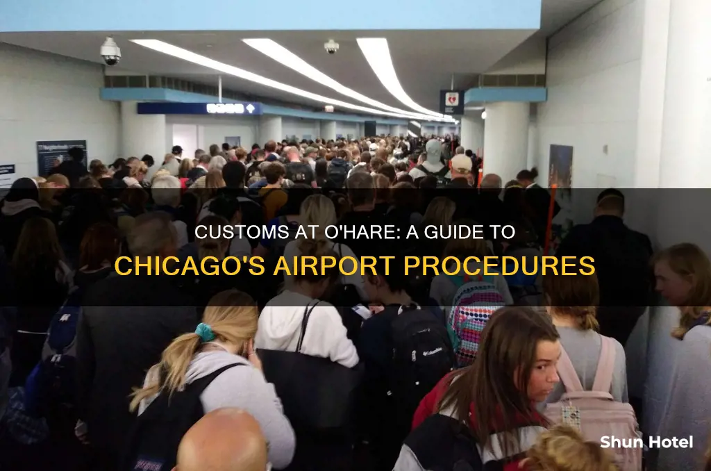 what is custom at ohare airport