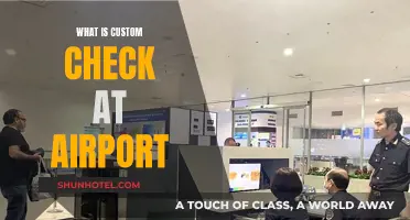 Customs Checks: What to Expect at the Airport