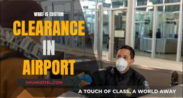 Customs Clearance: Airport Travel Simplified
