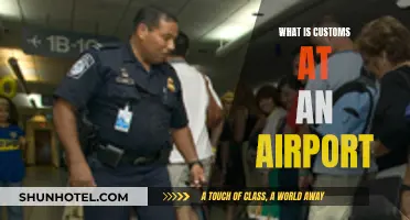 Customs: Airport Security and Border Protection