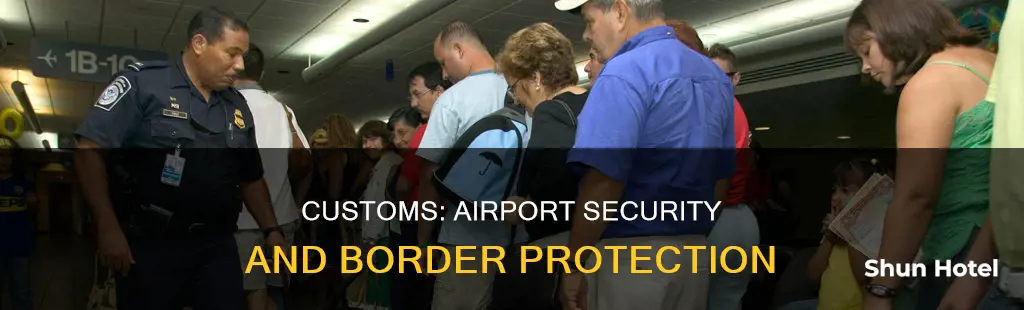 what is customs at an airport