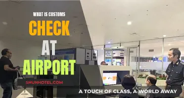 Customs Check: What to Expect at the Airport