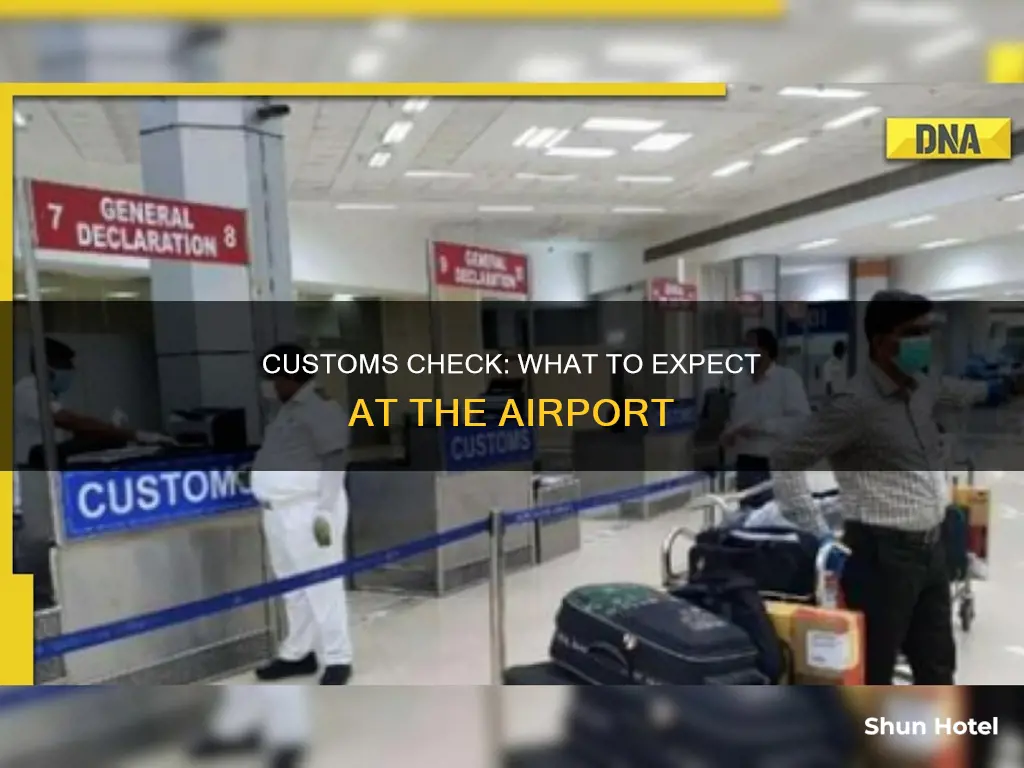 what is customs check at airport
