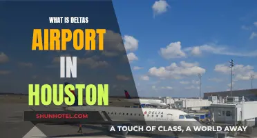 Houston's Delta Hub: All You Need to Know