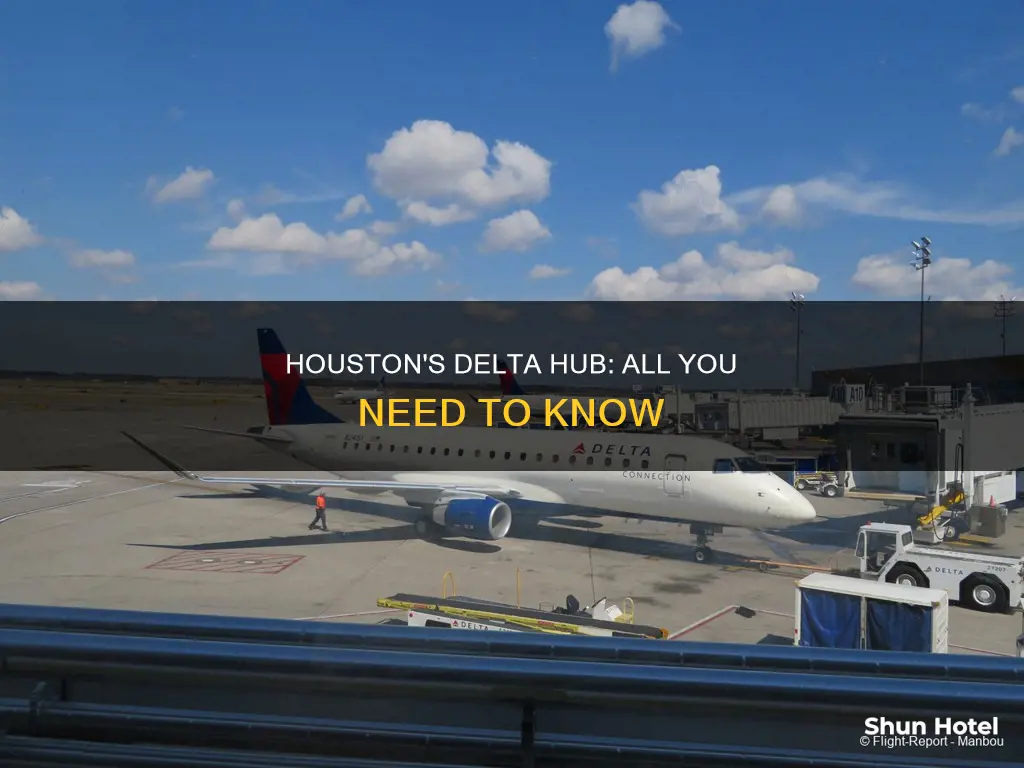 what is deltas airport in houston