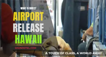 Hawaii's Airport Release: Direct to Paradise