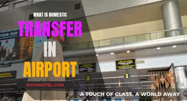 Domestic Transfers: Easy Airport Guide