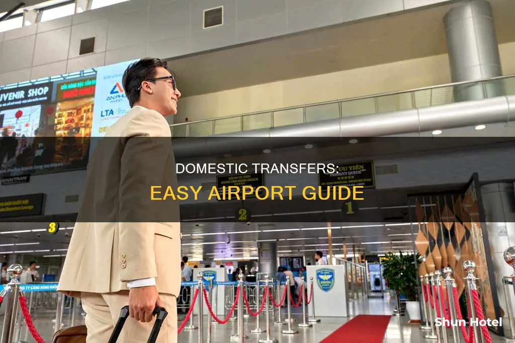what is domestic transfer in airport
